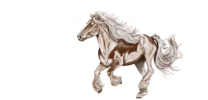Majestic White Maned Horse PNG