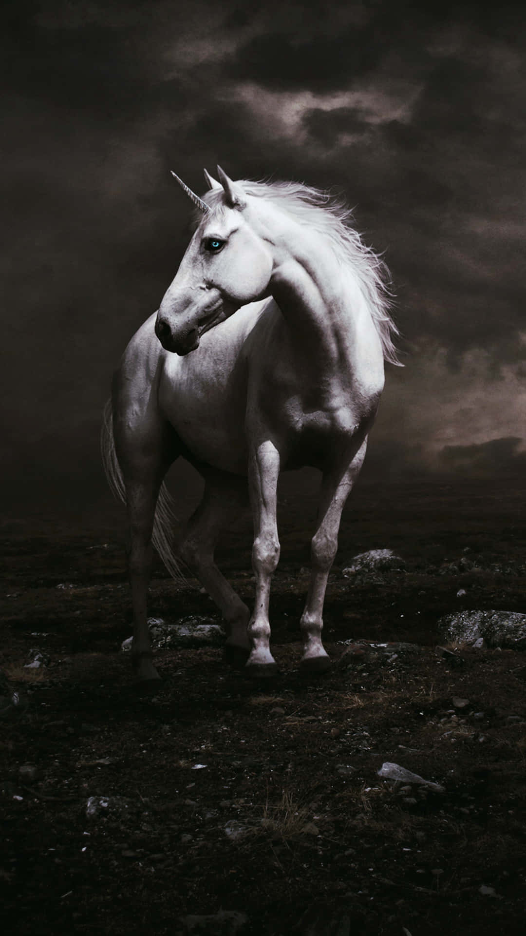 Majestic_ White_ Unicorn_ Dark_ Sky Wallpaper