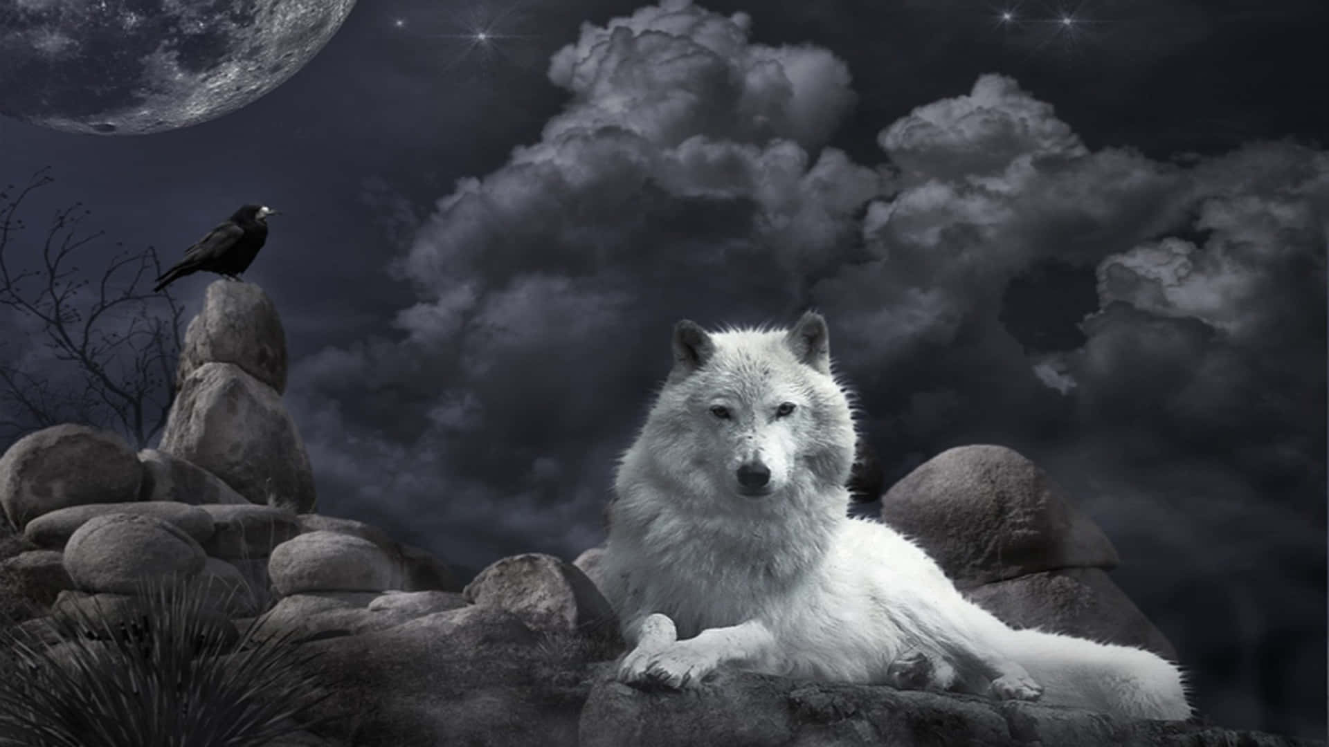 Majestic White Wolf Moonlit Night Wallpaper