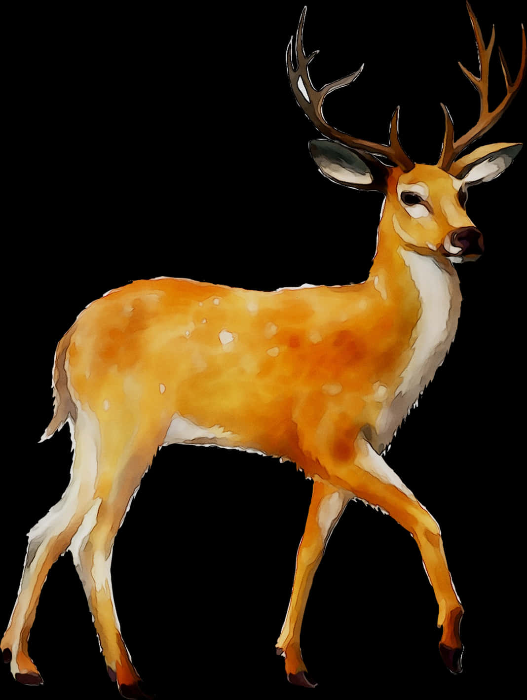 Majestic Whitetail Deer Illustration PNG