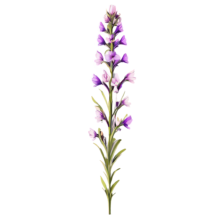 Majestic Wildflower Splendor Png 69 PNG