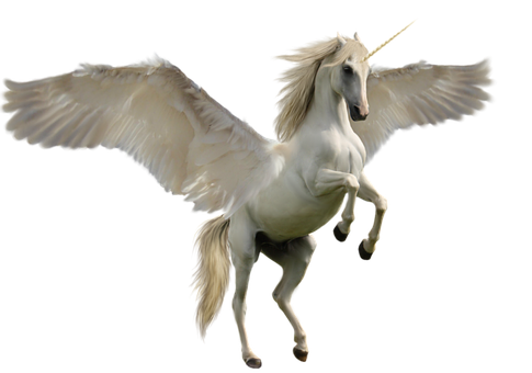 Majestic Winged Unicorn PNG
