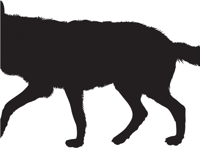 Majestic Wolf Silhouette PNG