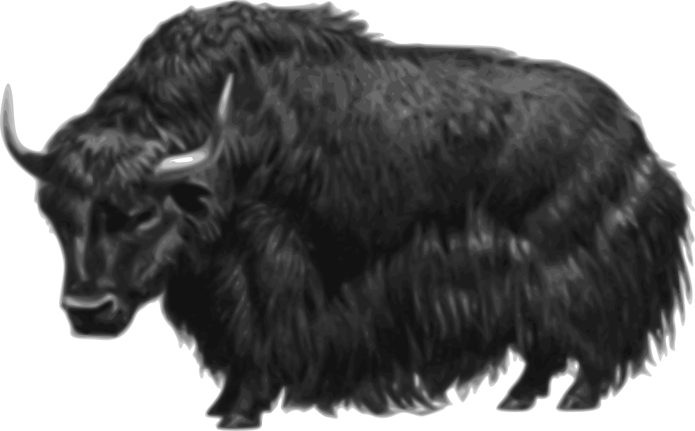 Majestic Yak Illustration PNG