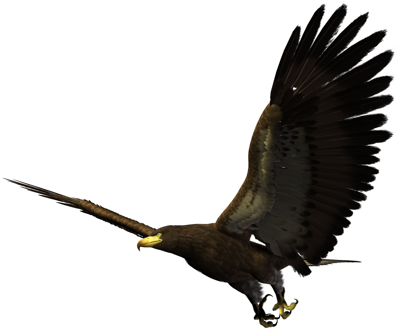 Majestic_ Eagle_ In_ Flight.png PNG