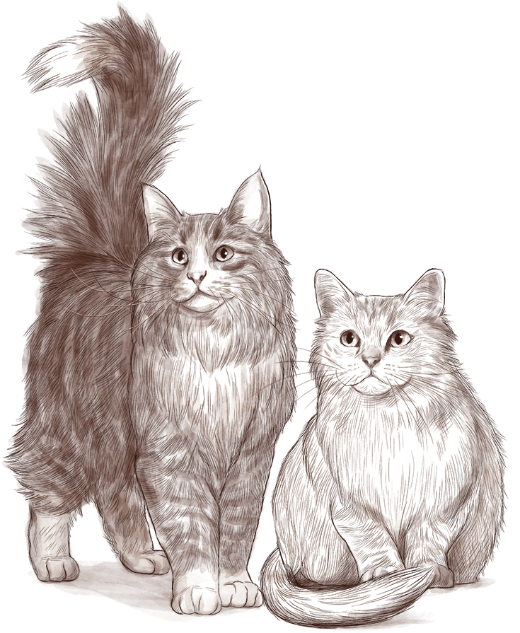 Majestic_ Feline_ Pair_ Illustration.png PNG