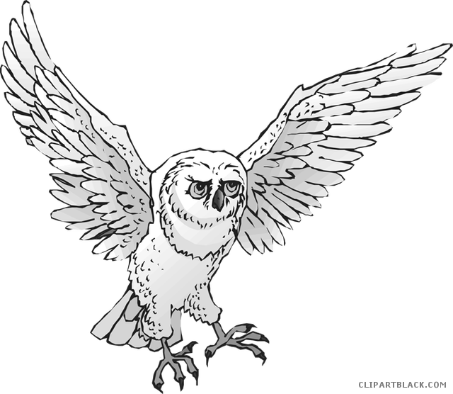 Majestic_ Owl_ In_ Flight.png PNG