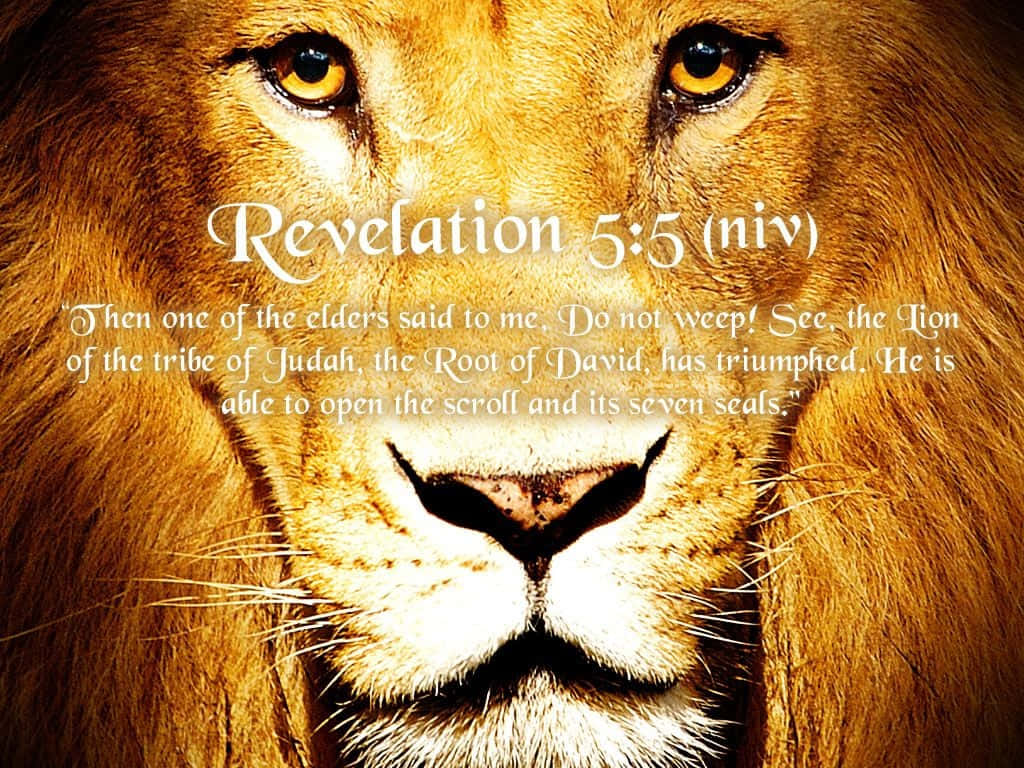 Majesty Of The Lion Of Judah Wallpaper