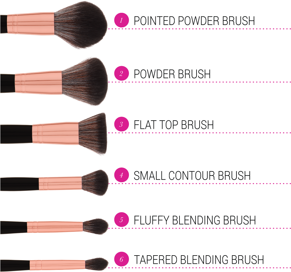 Makeup Brush Types Explained PNG