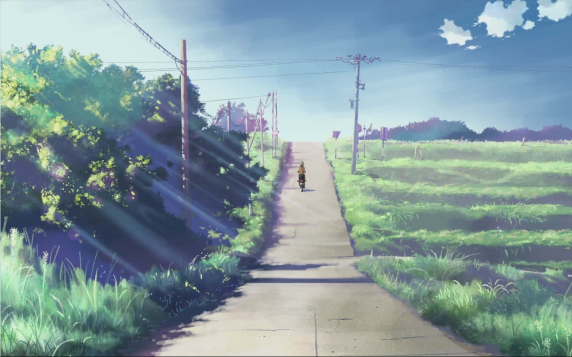 Entreno Mundo De Makoto Shinkai
