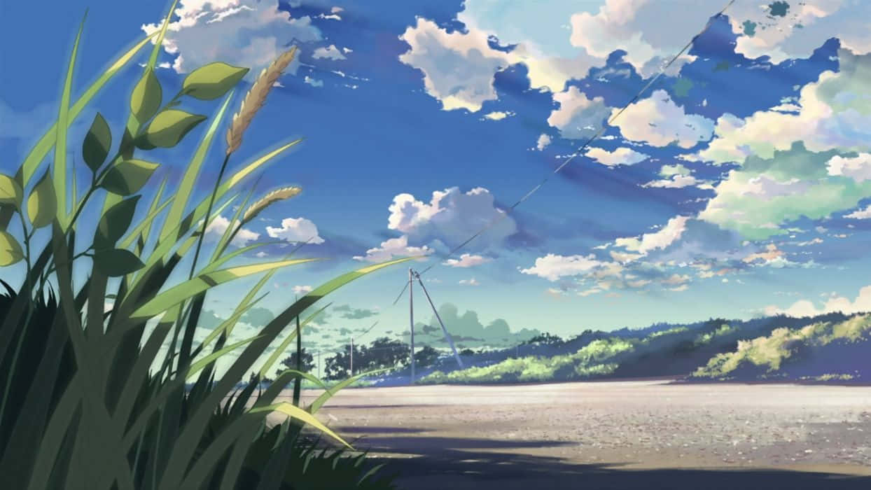 Introducing my collection of Anime and Lofi Wallpapers  Anime scenery,  Anime scenery wallpaper, Scenery wallpaper