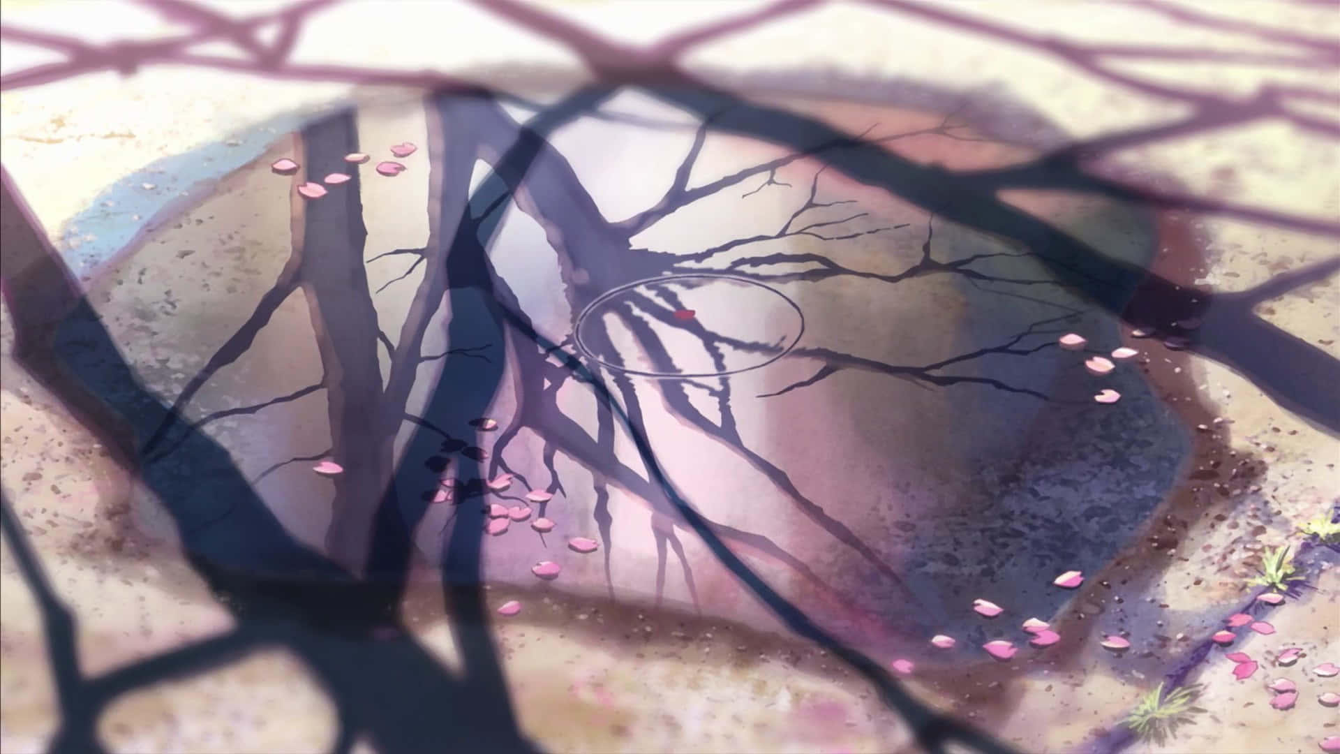 A Glimpse of the Art of Makoto Shinkai