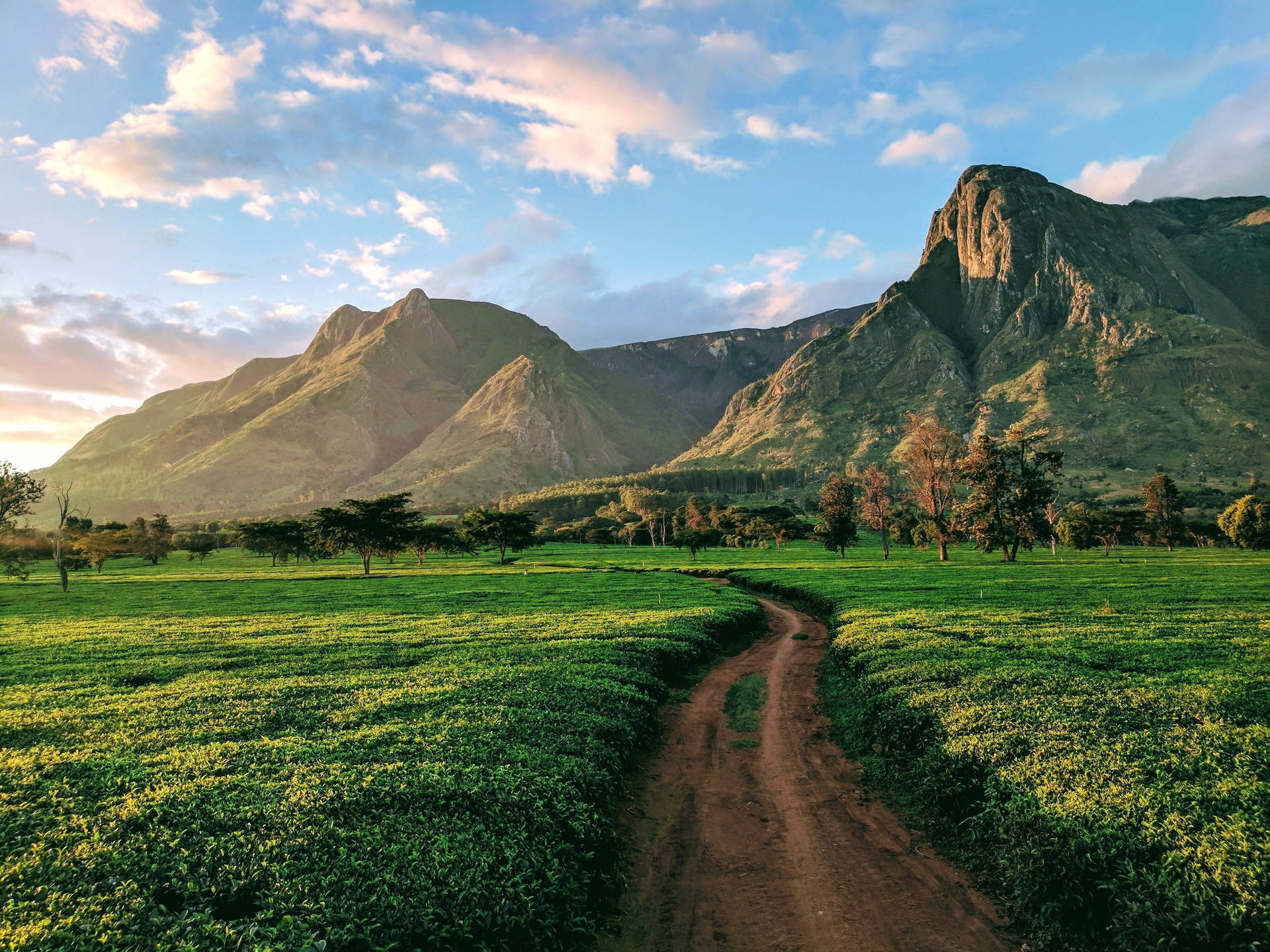Caminode Tierra En Malawi Hacia La Montaña. Fondo de pantalla