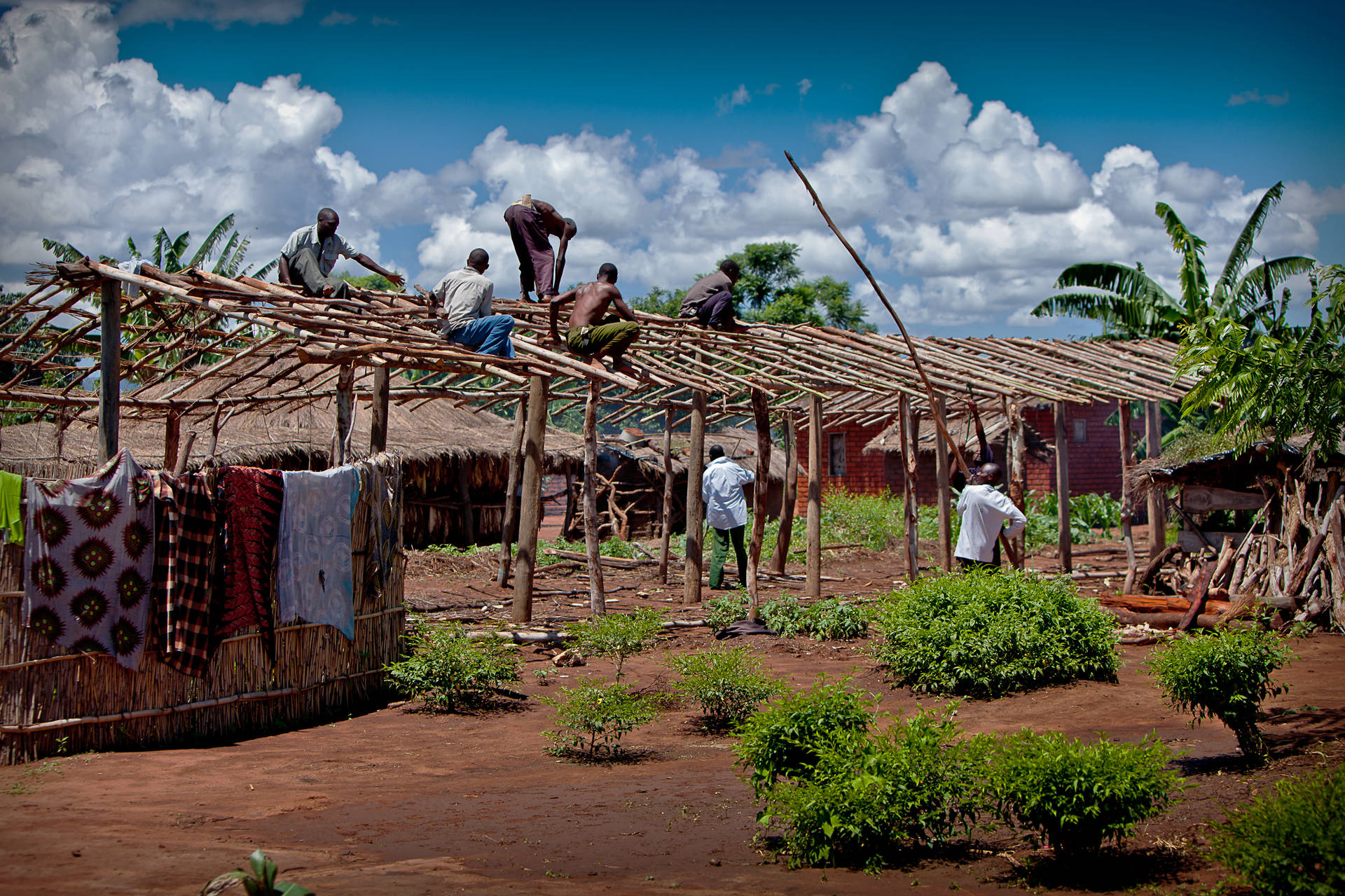 Malawischemenschen, Die Ein Holzhaus Bauen Wallpaper
