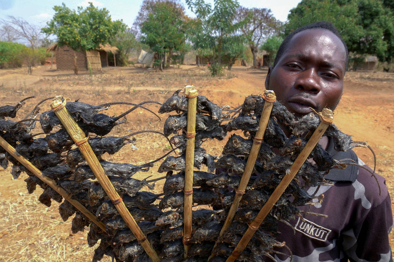 Malawi Soldier Holding Fried Rats Wallpaper