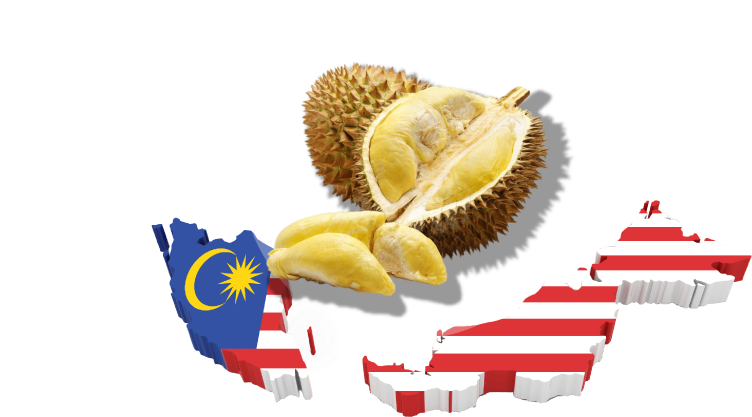 Malaysia Durian Fruit National Flag PNG