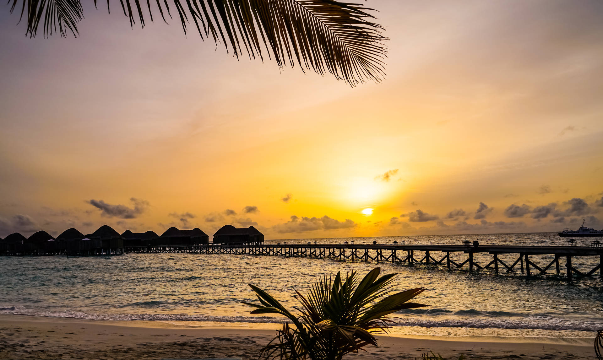 Maldiverne Beach Sunset Silhouette Wallpaper