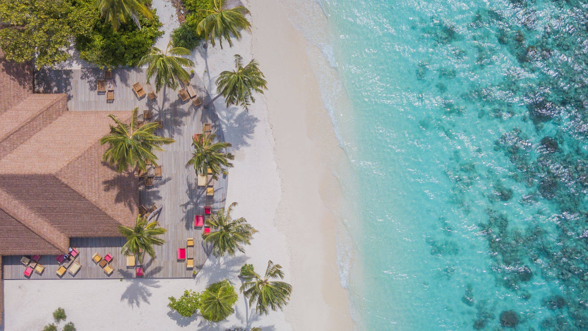 Maldiverne Beachside Aerial Wallpaper