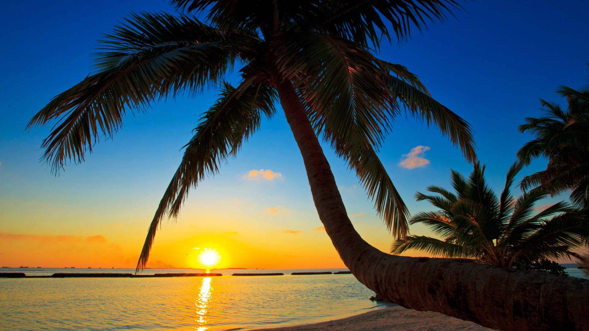 Pôrdo-sol Dourado Das Maldivas. Papel de Parede
