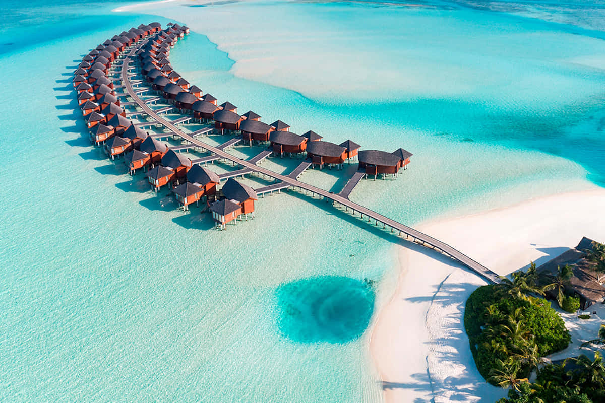 Tropical Paradise in the Maldives Wallpaper