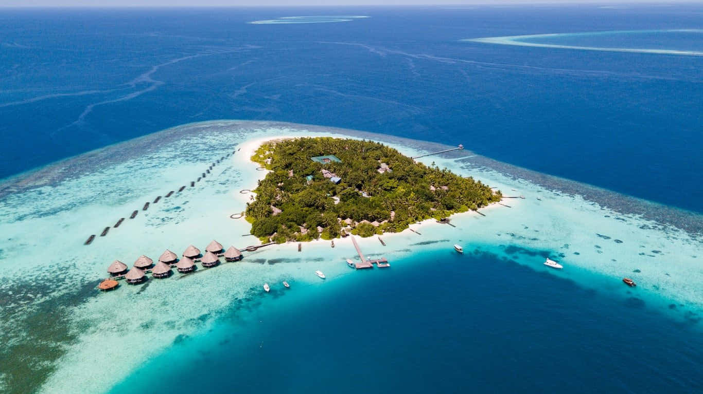 Caption: Serene Maldives Island Beach Wallpaper