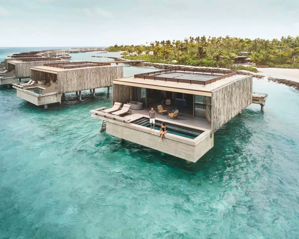 A lush tropical garden overlooking the crystal clear waters of the Maldives