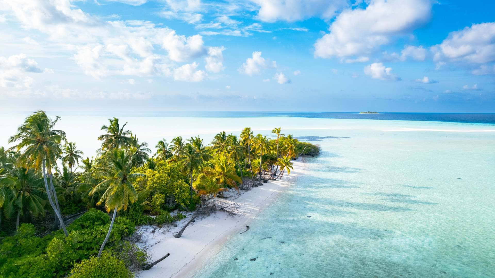 Njutav Din Semester I Den Tropiska Paradiset Maldiverna