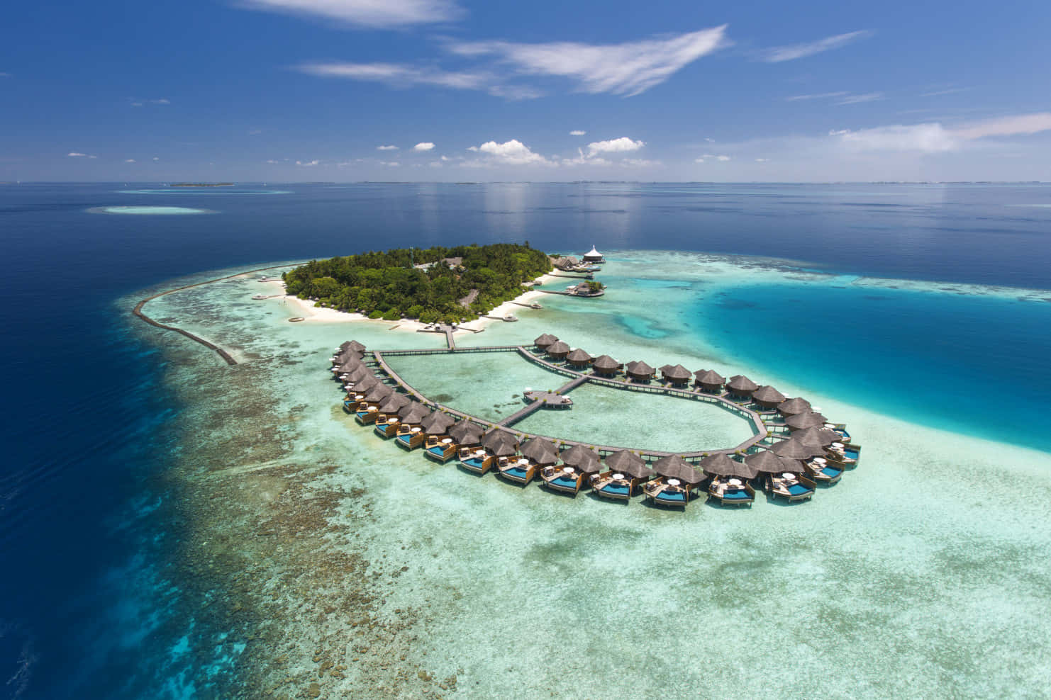 Enjoy the landscapes and aquatic animals of the Maldives