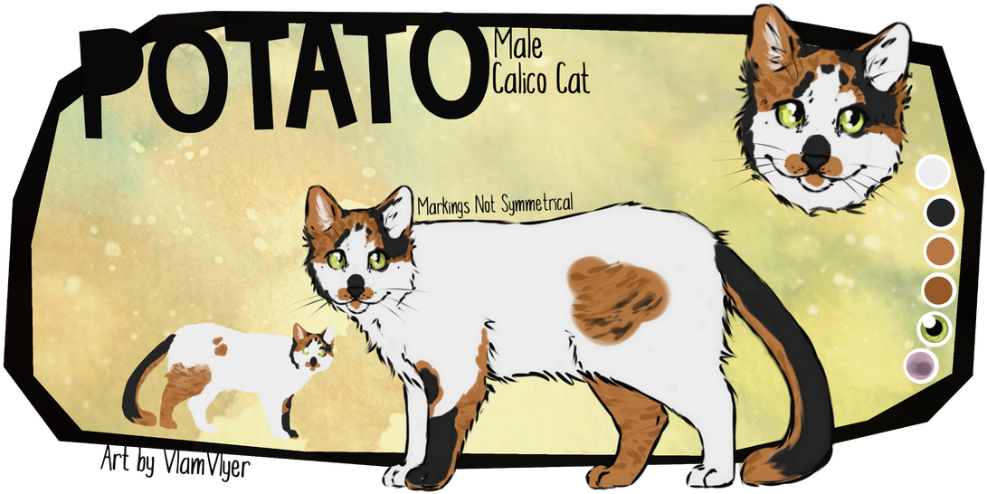 Male Calico Cat Illustration PNG