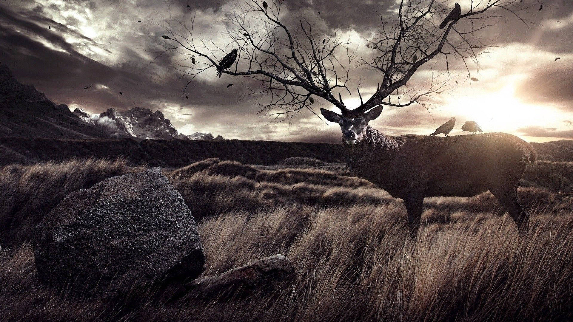 A majestic buck relaxing in a forest at dusk Wallpaper