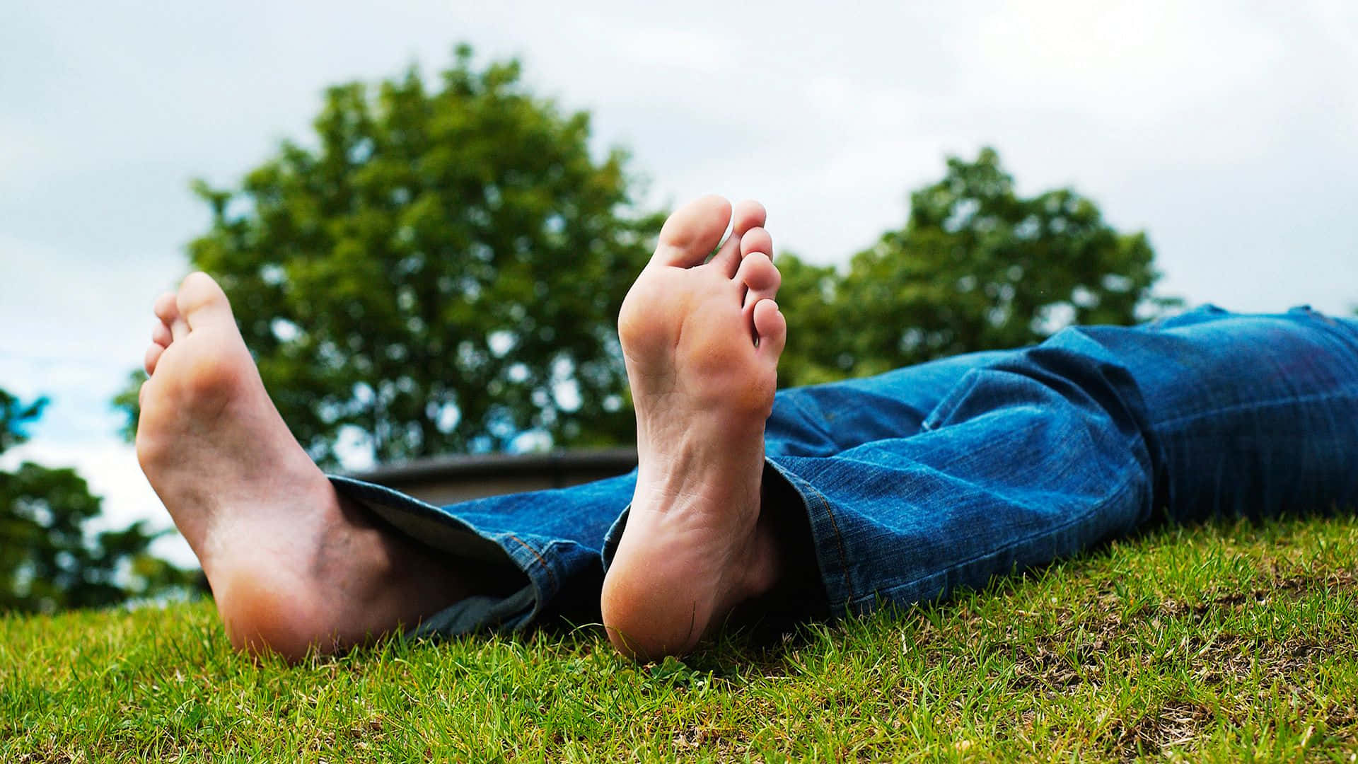 Mand ligger på græsset vise barfodet Wallpaper