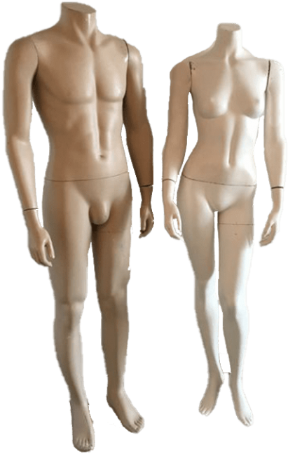 Male_and_ Female_ Mannequins_ Display PNG