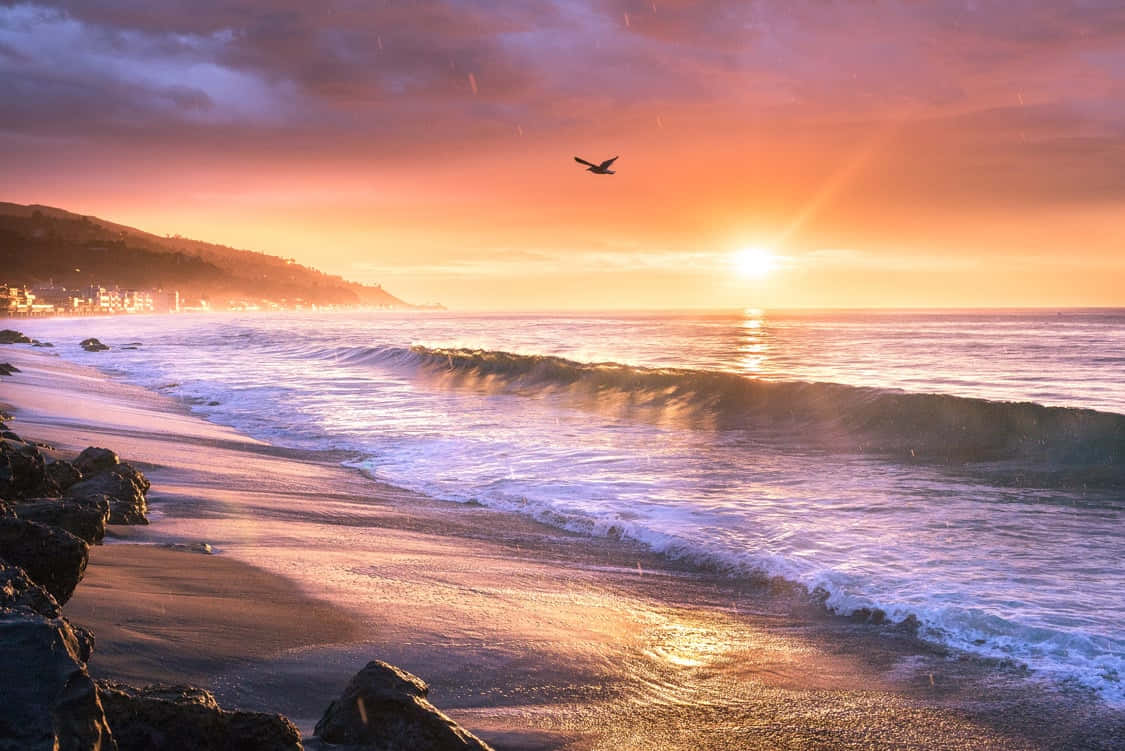 Albasulla Spiaggia Di Malibu Per Lo Sfondo Del Desktop Sull'oceano Viola. Sfondo