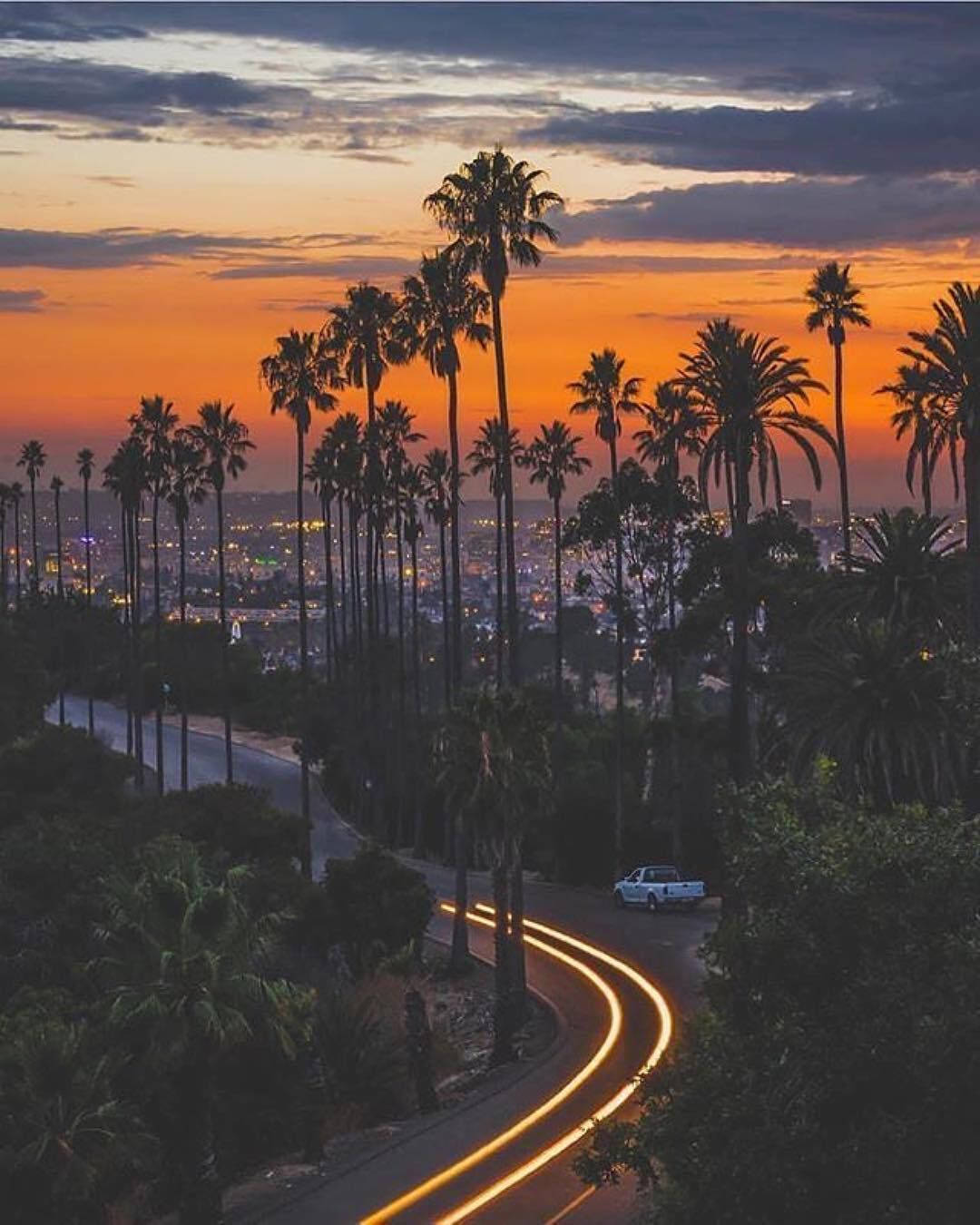 Malibu Californien vej Palme træer og blå himmel Wallpaper