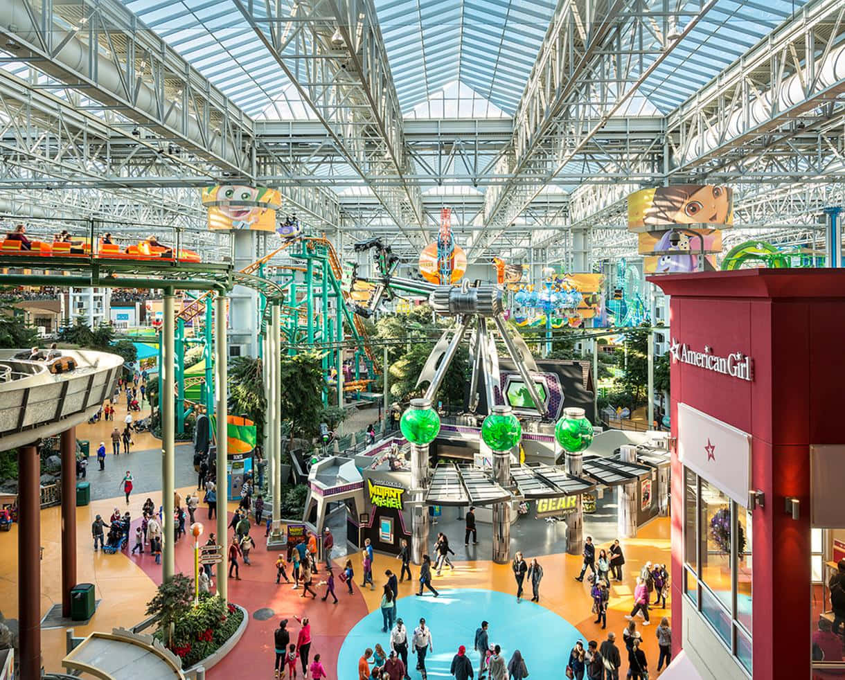 Shop till you drop at Mall of America!