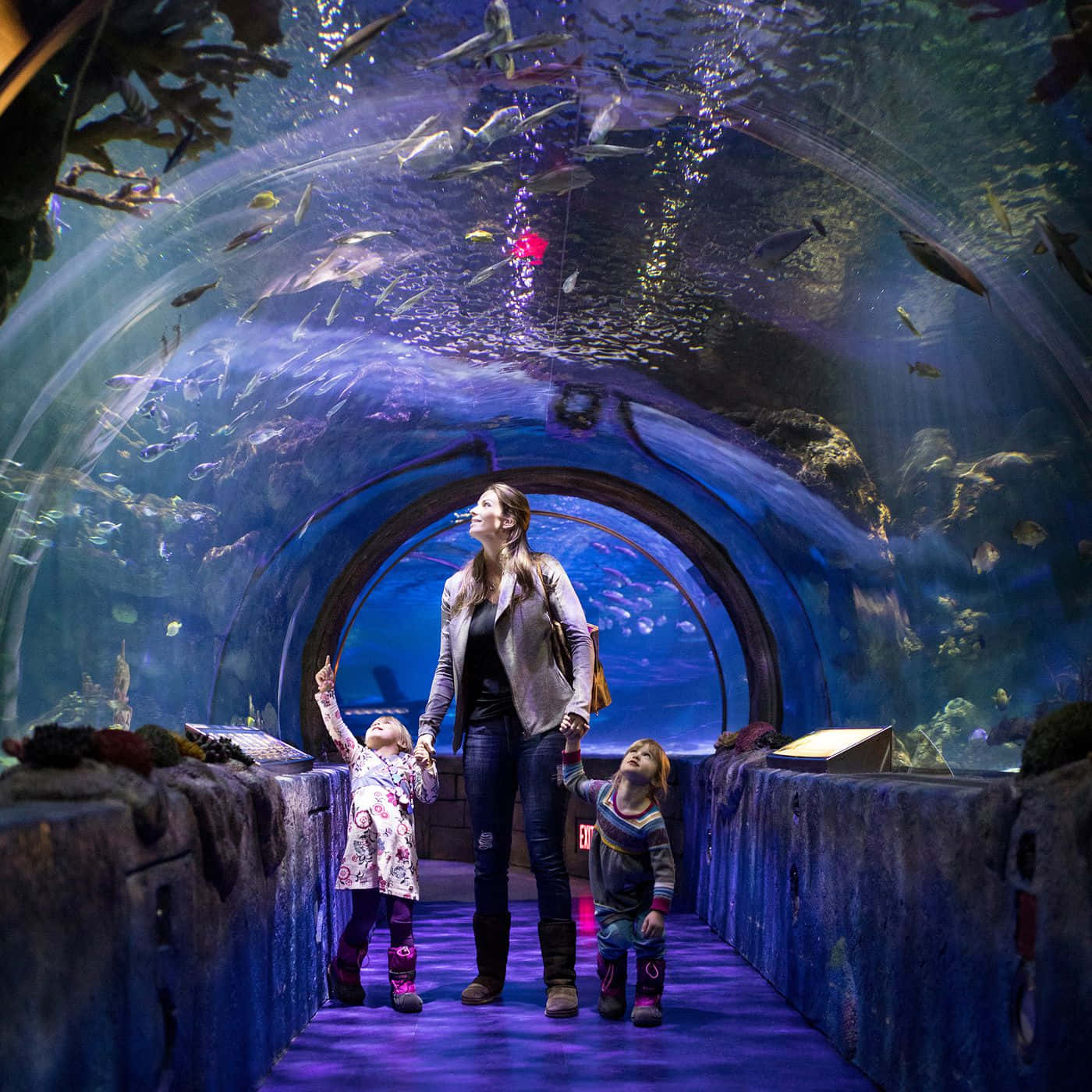 A Woman And Her Children Walk Through An Aquarium Tunnel