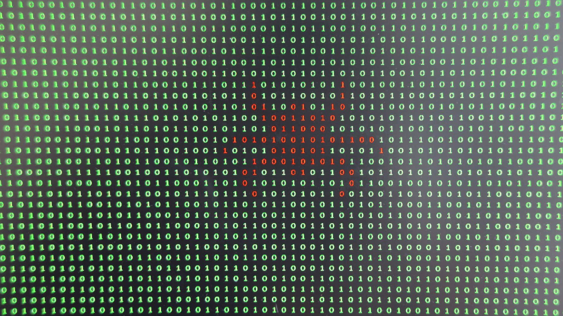 A Computer Screen With A Red And Green Bug Wallpaper
