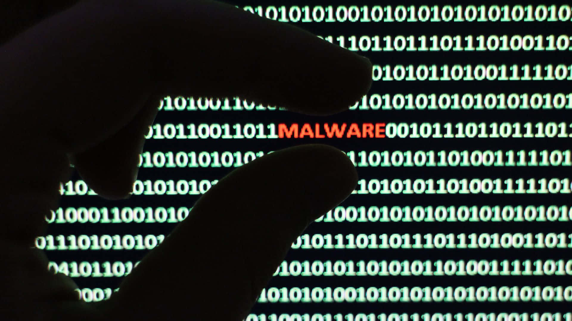 En person holder en hånd op til en computer skærm med ordet malware på det. Wallpaper