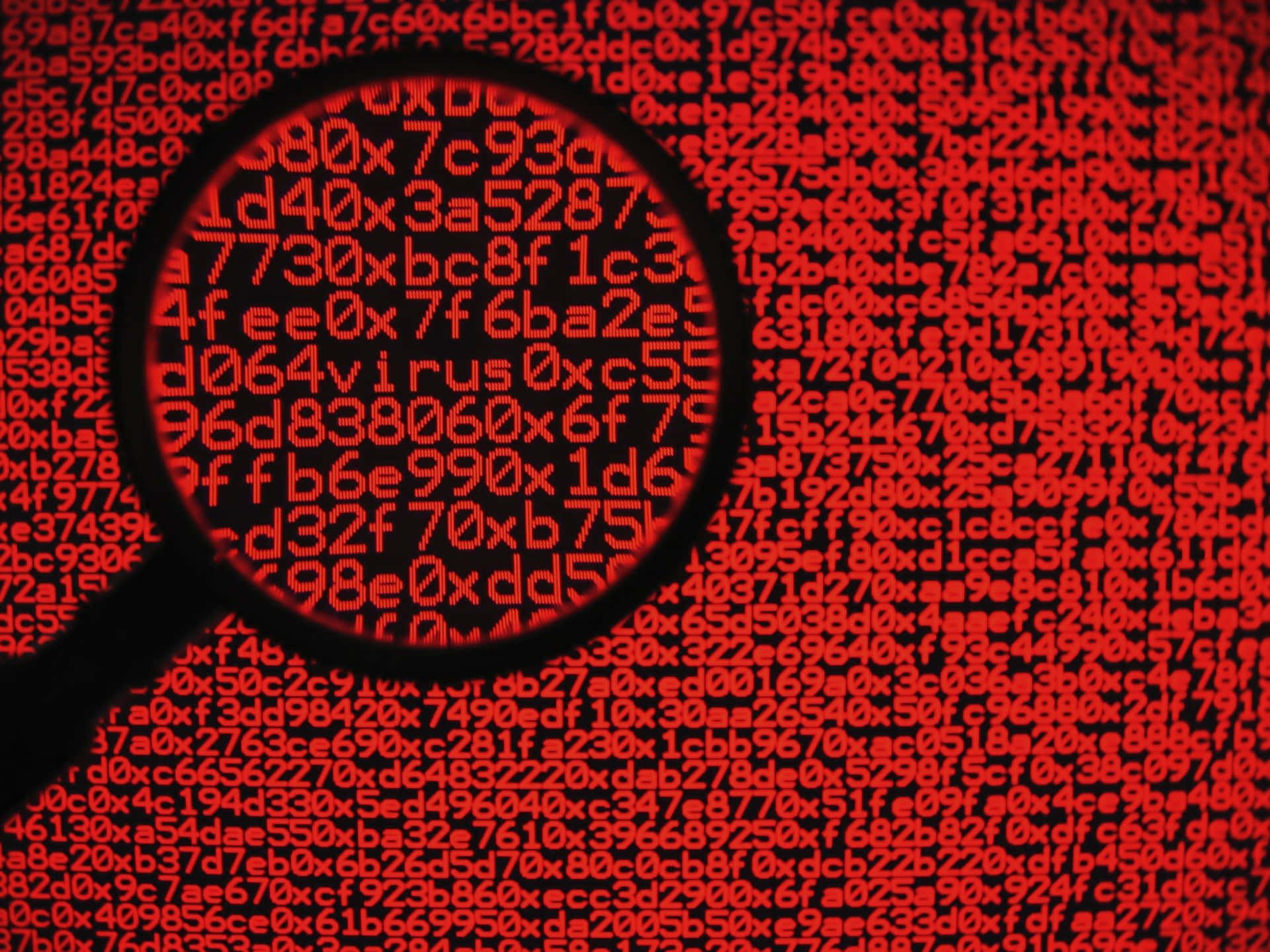 Sikkerhedsekspert forsvarer mod udviklende Malware-trussel. Wallpaper