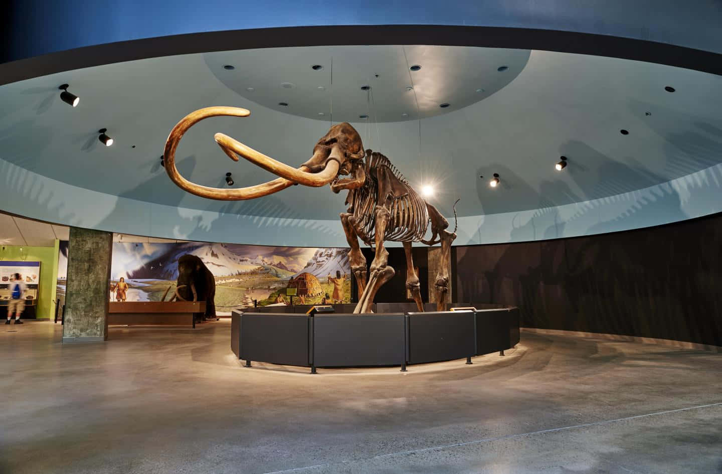 Mammoth_ Skeleton_ Exhibit_ Natural_ History_ Museum_ Los_ Angeles Wallpaper