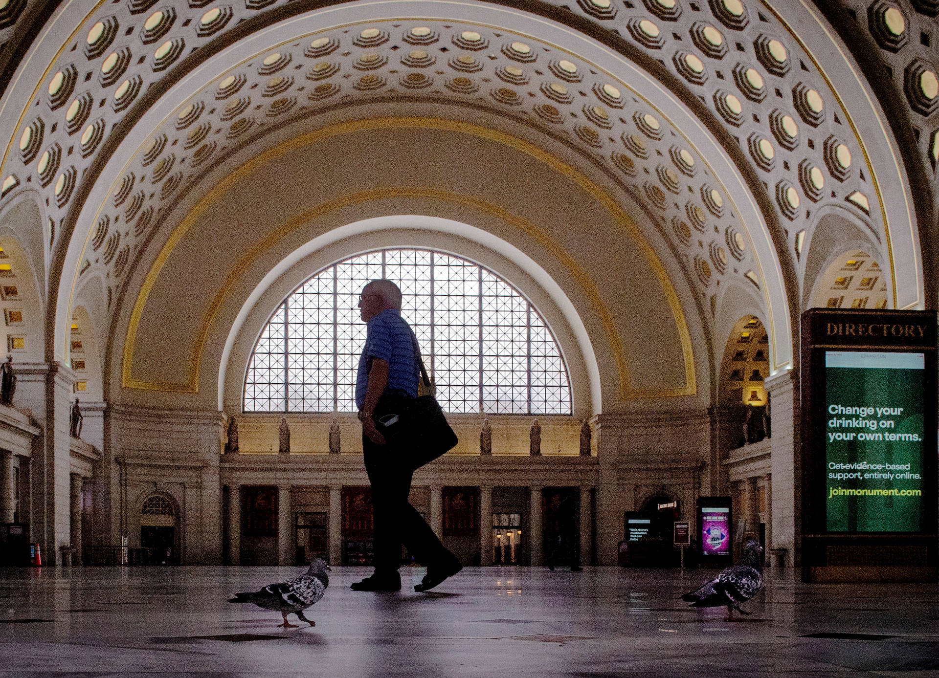 Man And Birds Union Station Wallpaper