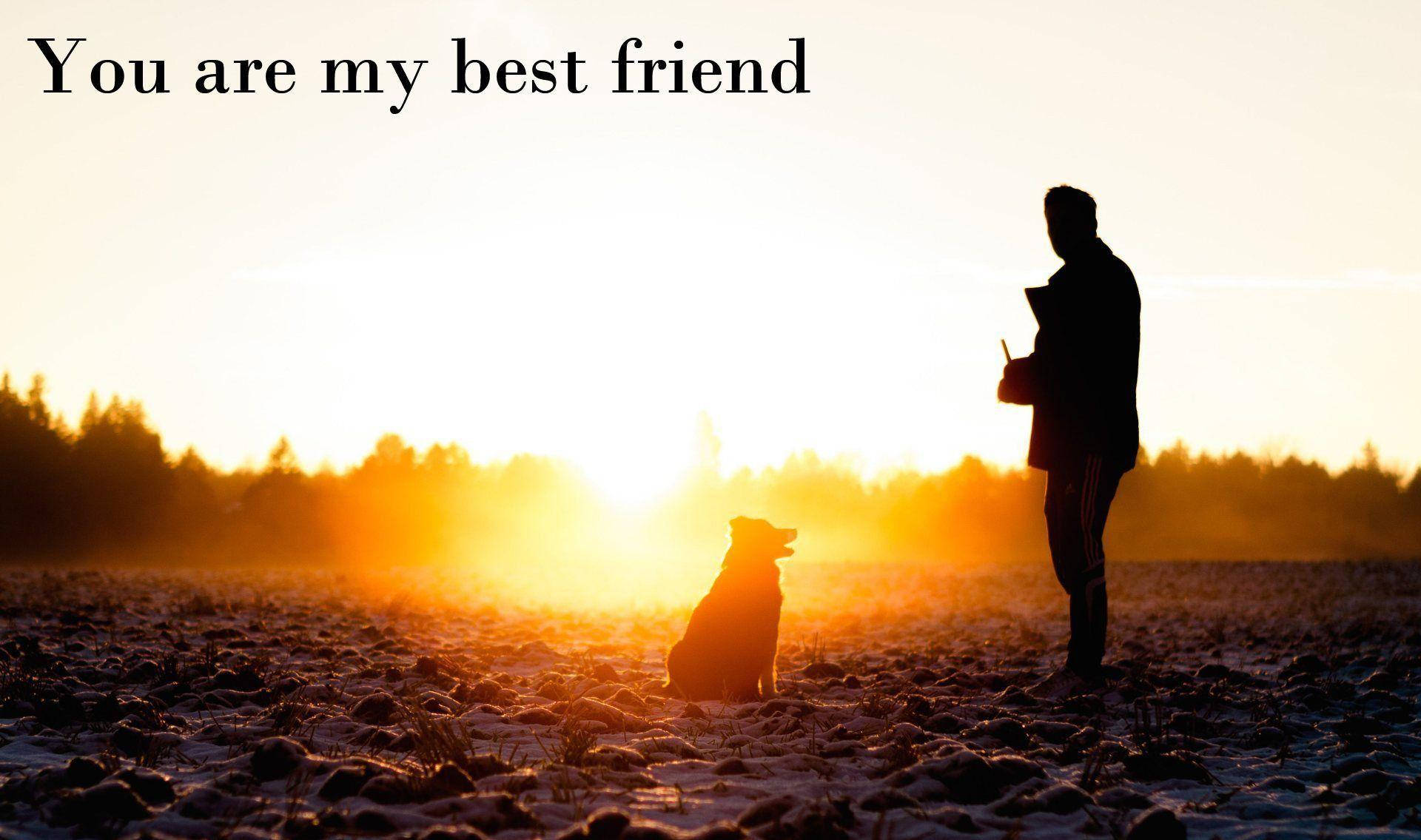 Man And Dog Best Friend Quotes Wallpaper