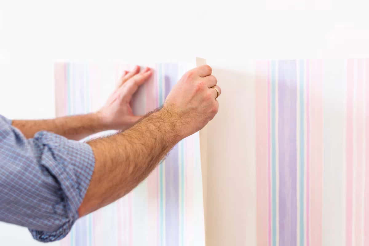 Man Applying Adhesive Tape Wall Wallpaper
