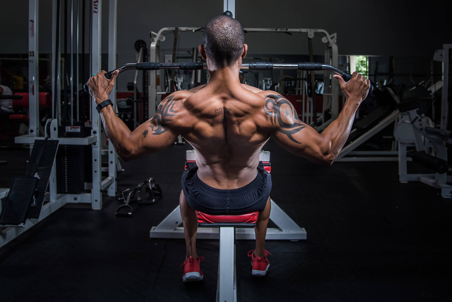 Man Back Muscles Beautiful Body Wallpaper