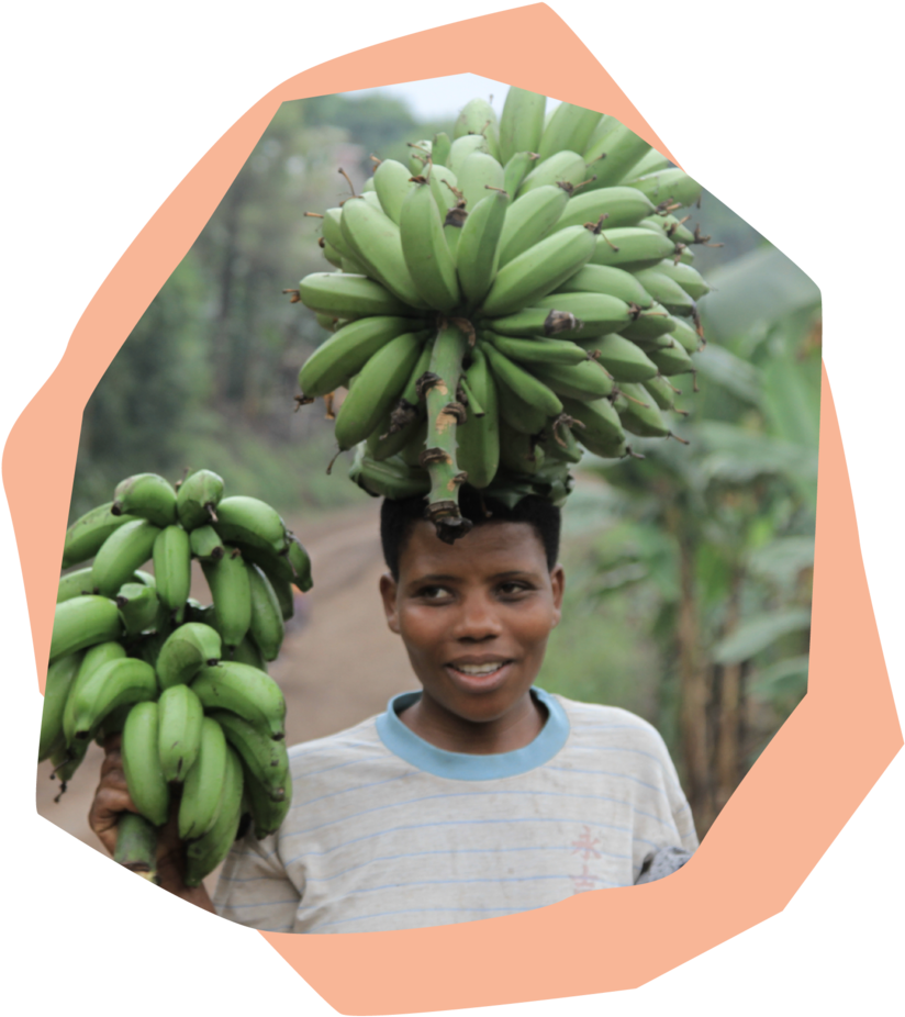 Man Carrying Plantain Bunch PNG