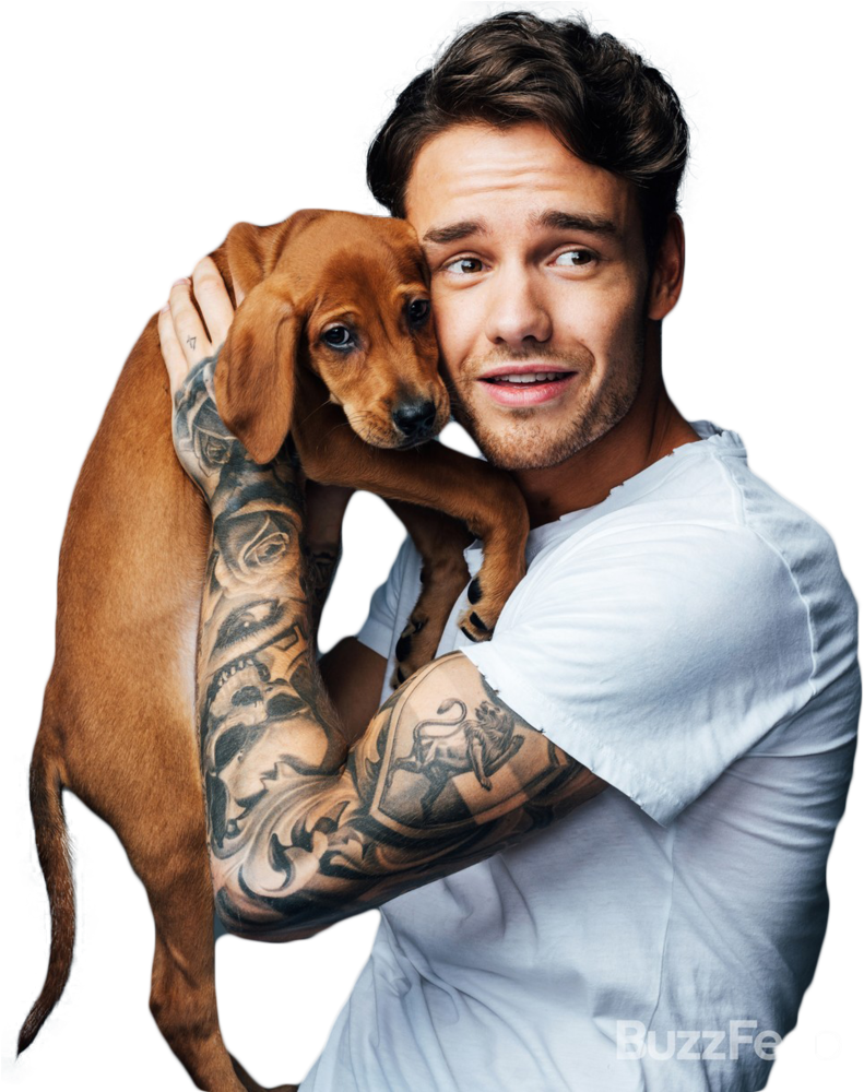 Man Holding Brown Puppy PNG