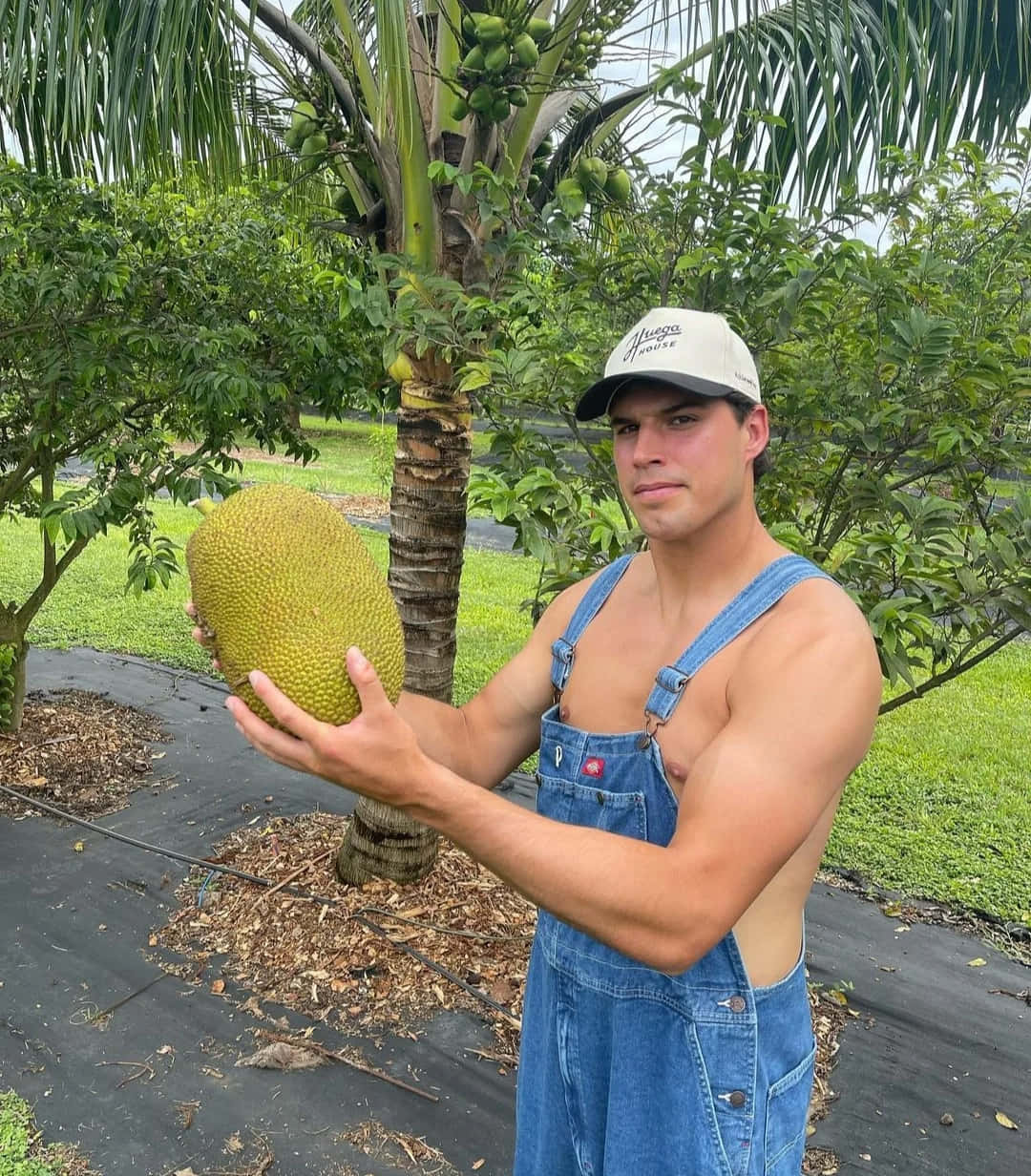Man Holding Jackfruit Outdoors Wallpaper