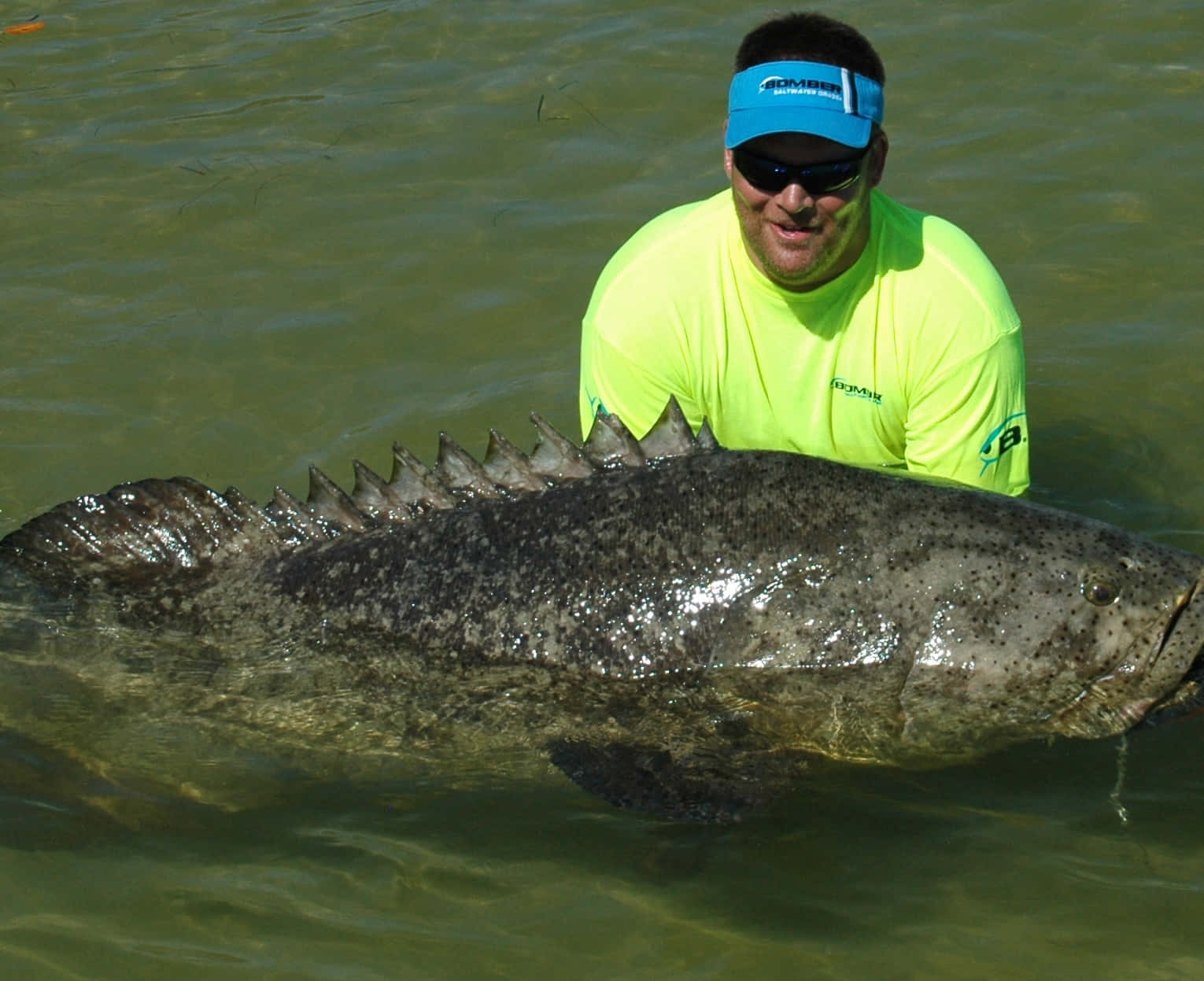 Man Houdt Grote Goliath Grouper Achtergrond