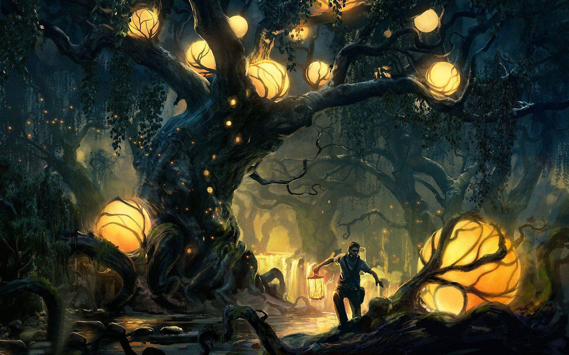 Man In An Enchanted Forest Wallpaper