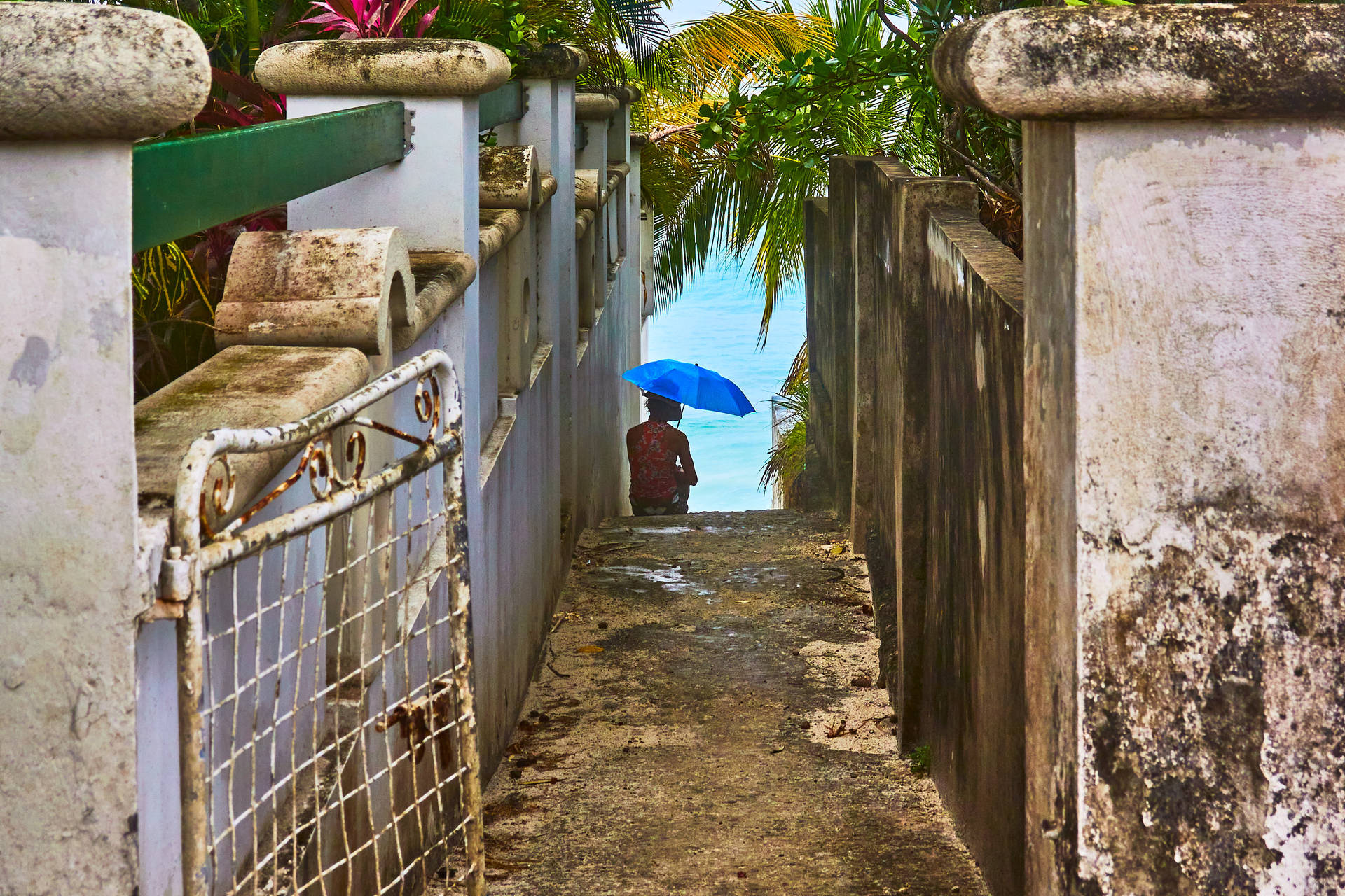 Man In Barbados Way
